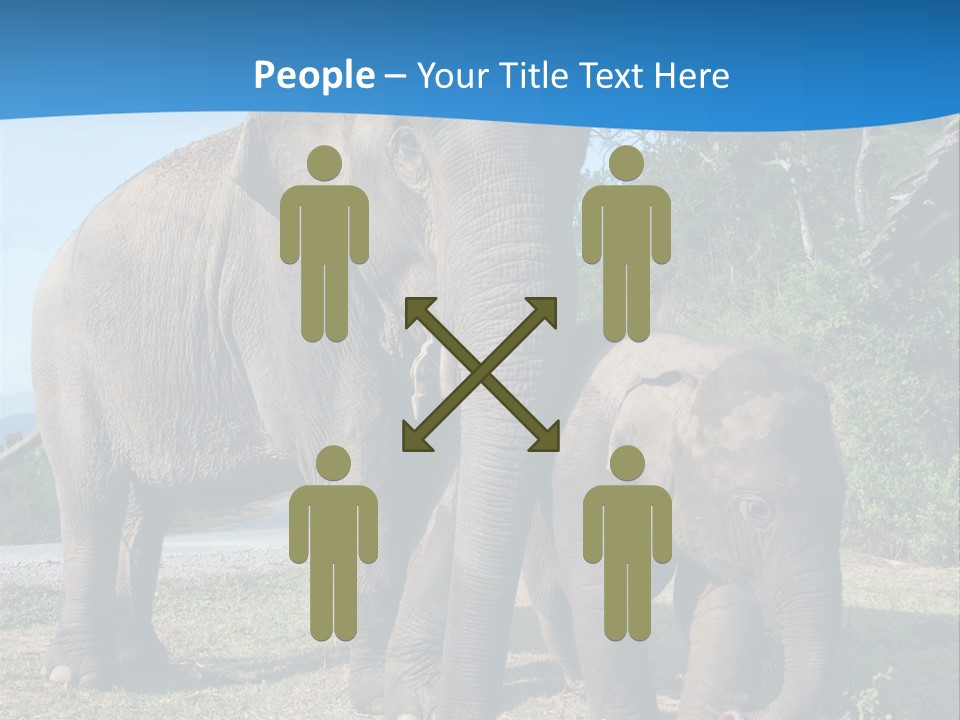 Trunk Travel Portrait PowerPoint Template