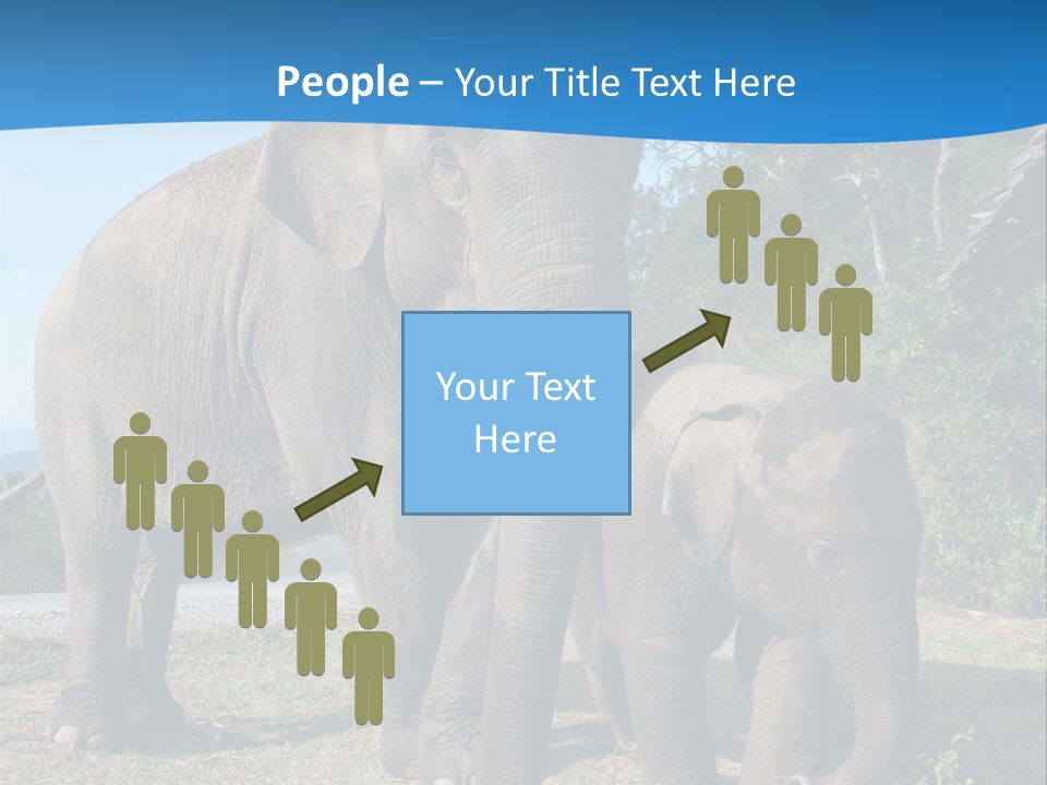 Trunk Travel Portrait PowerPoint Template