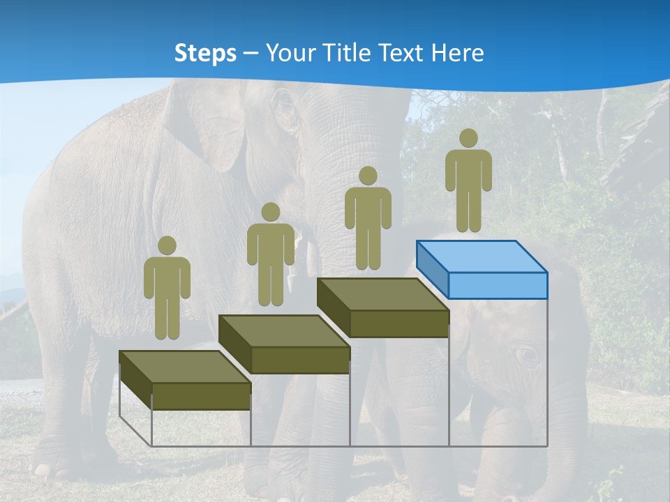 Trunk Travel Portrait PowerPoint Template