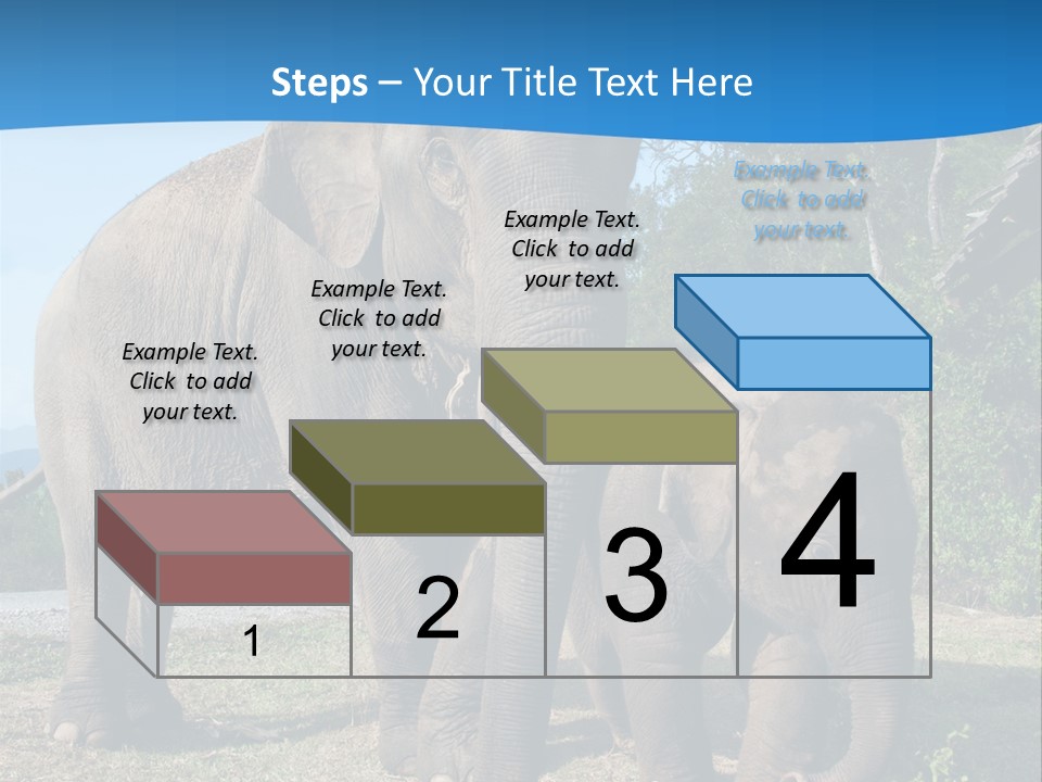 Trunk Travel Portrait PowerPoint Template