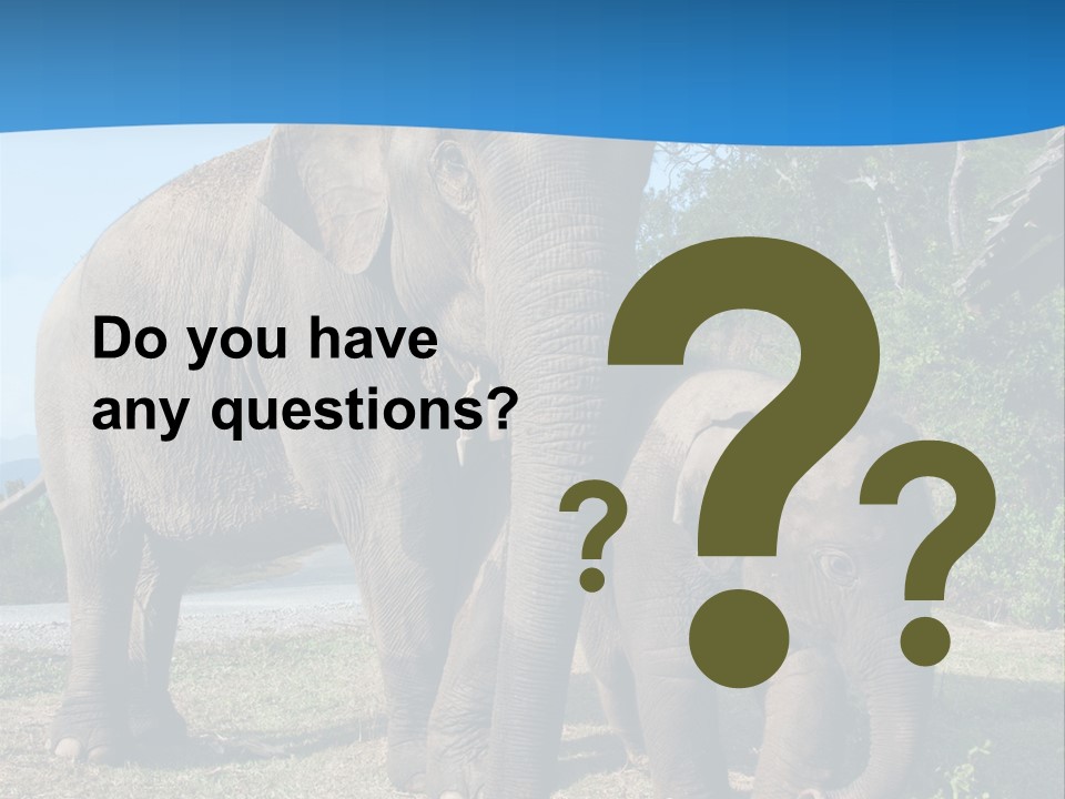 Trunk Travel Portrait PowerPoint Template