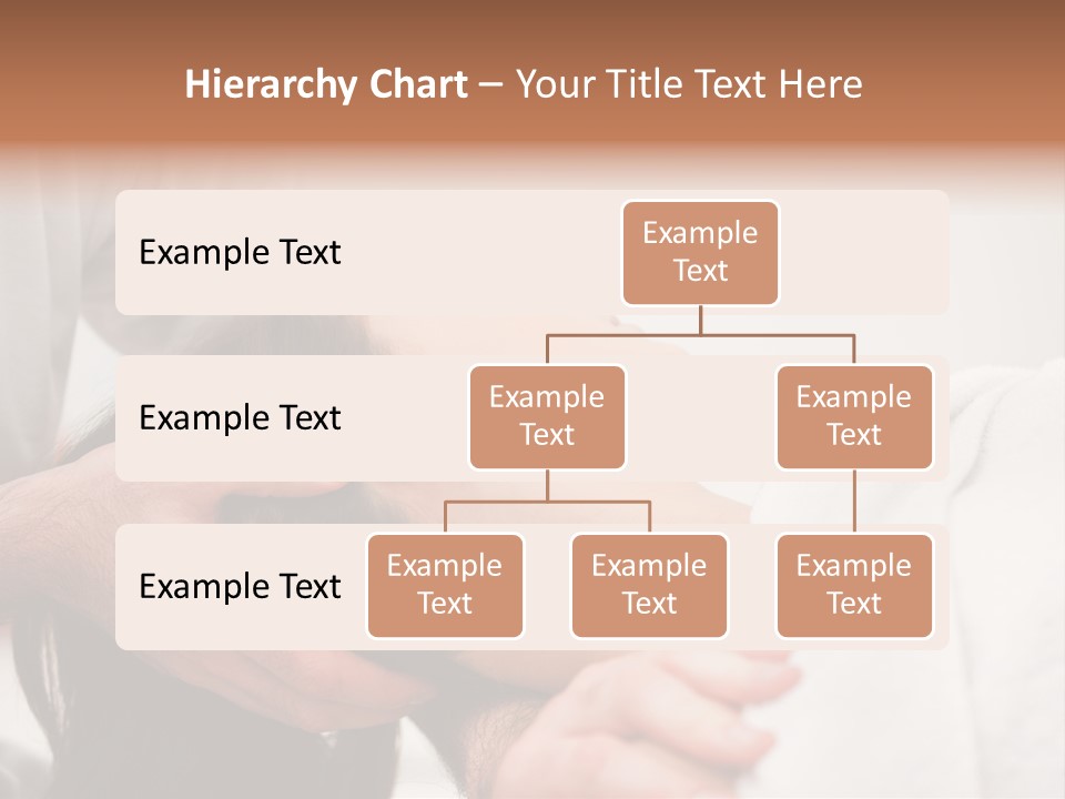 Chiropractor Alignment Mid Adult PowerPoint Template