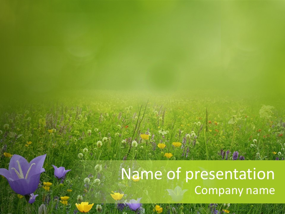 Blur Flora Light PowerPoint Template