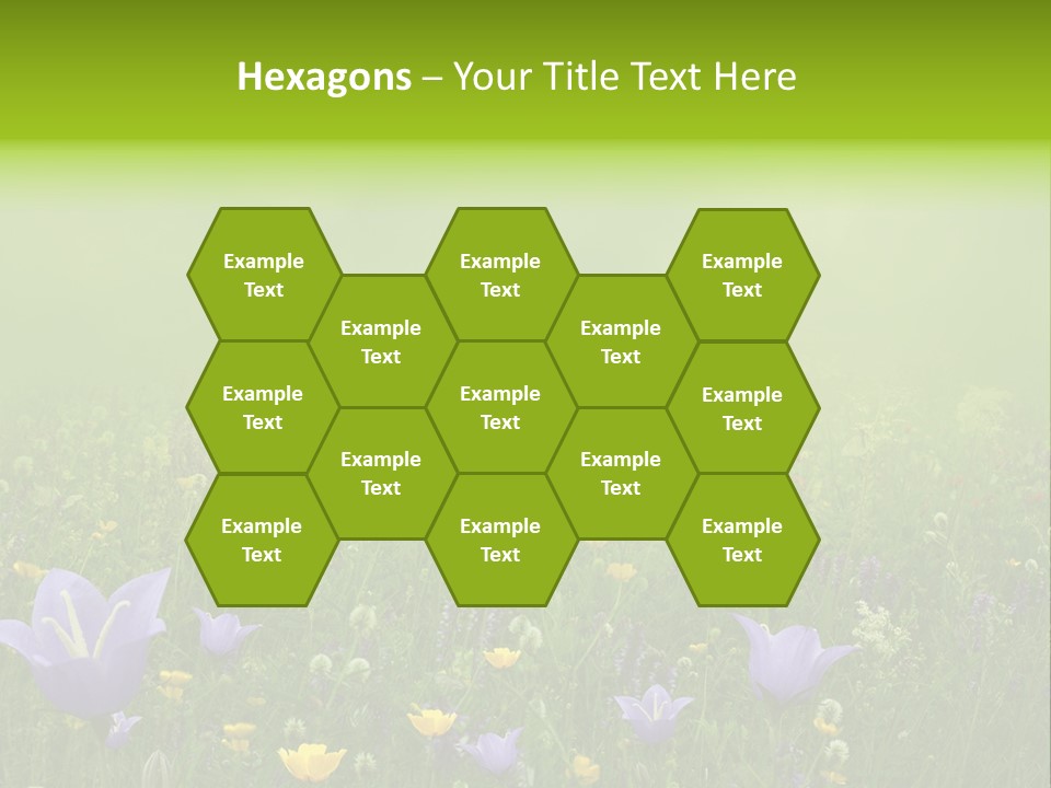 Blur Flora Light PowerPoint Template