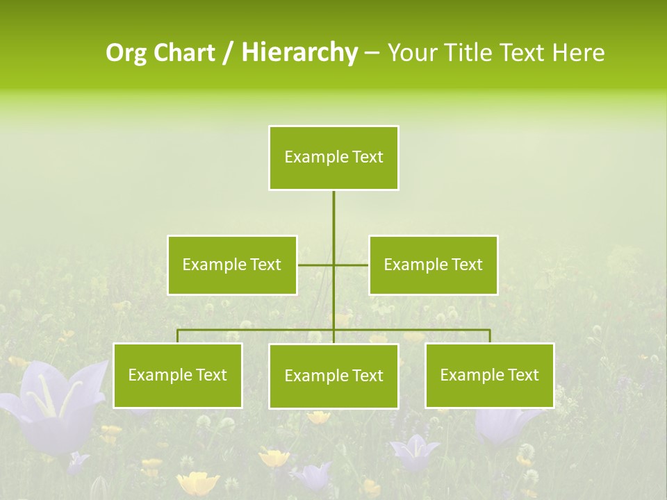 Blur Flora Light PowerPoint Template