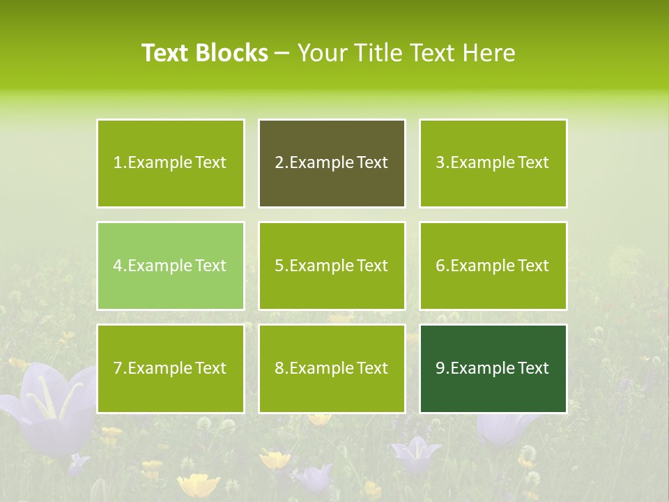 Blur Flora Light PowerPoint Template