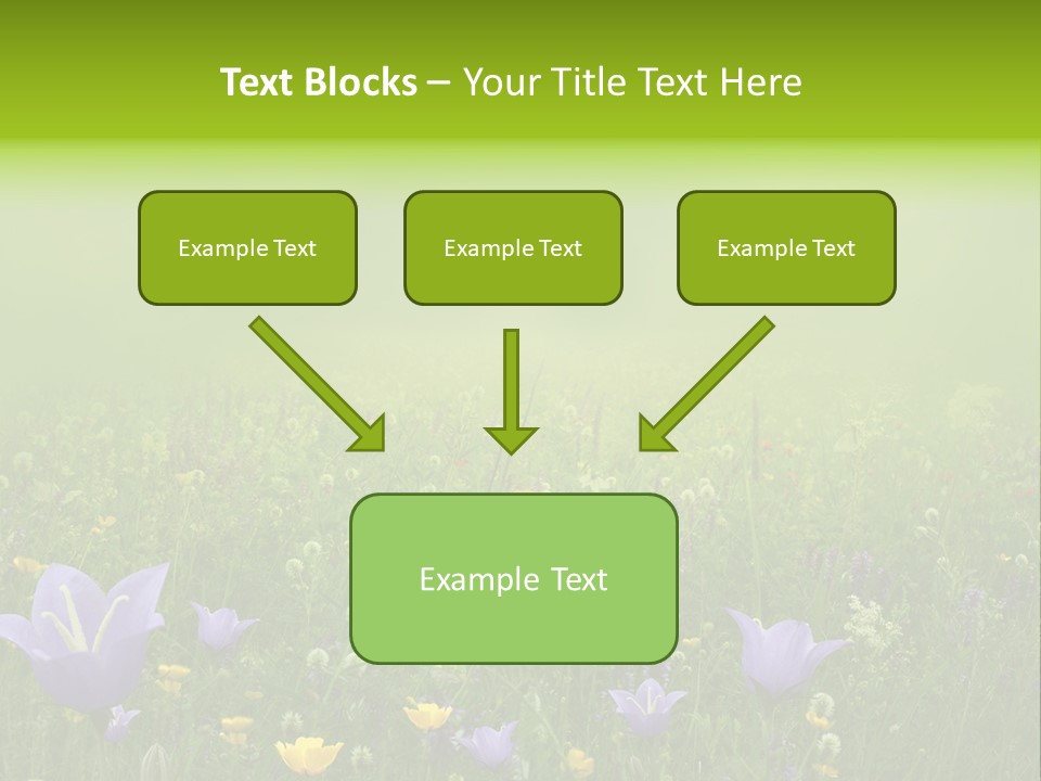 Blur Flora Light PowerPoint Template