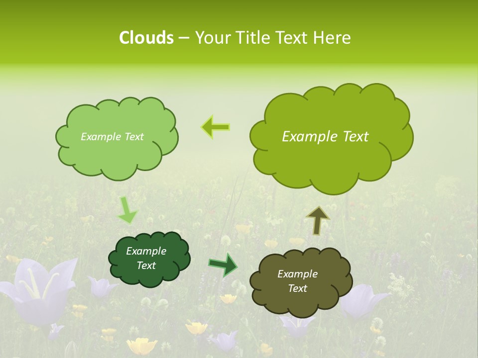 Blur Flora Light PowerPoint Template