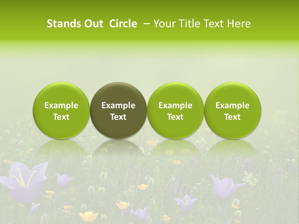 Blur Flora Light PowerPoint Template