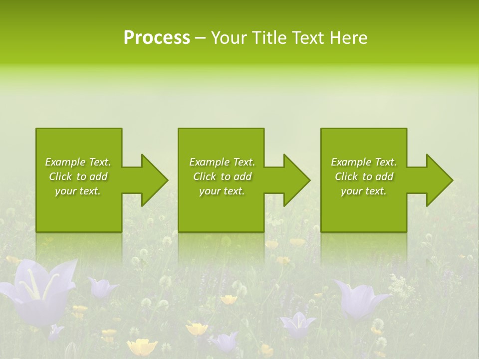 Blur Flora Light PowerPoint Template