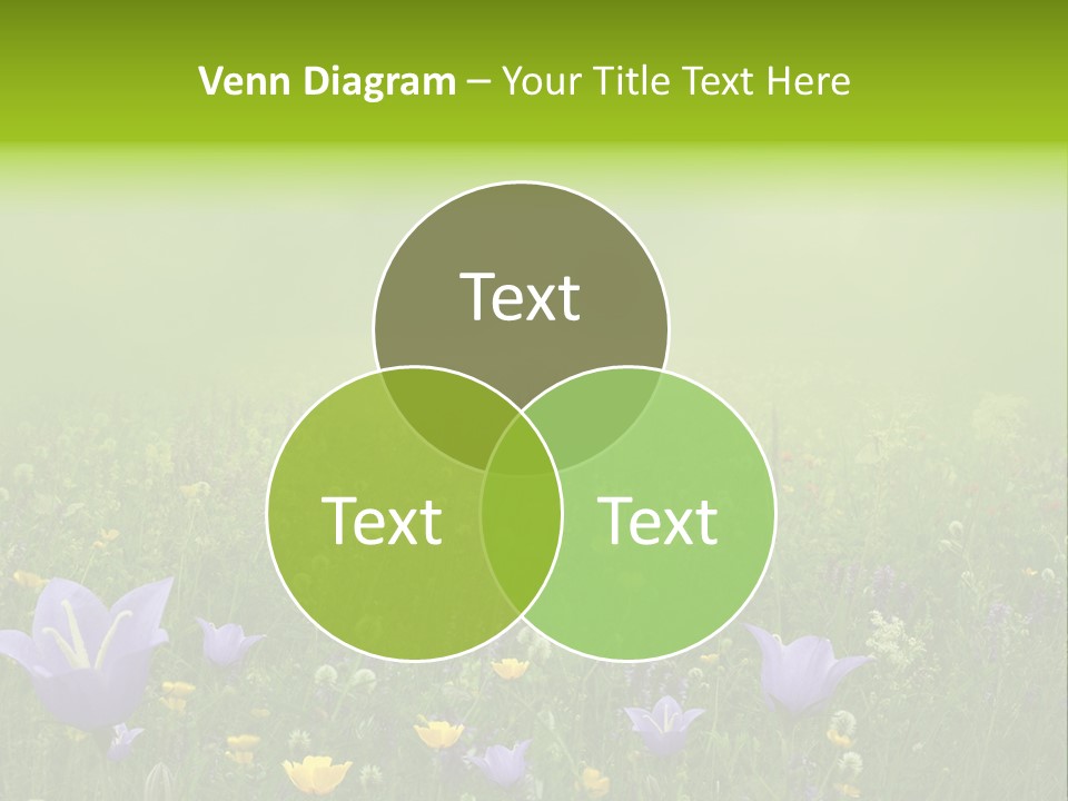 Blur Flora Light PowerPoint Template