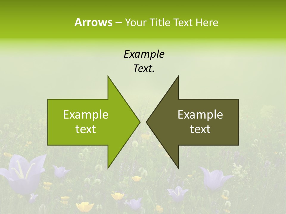 Blur Flora Light PowerPoint Template