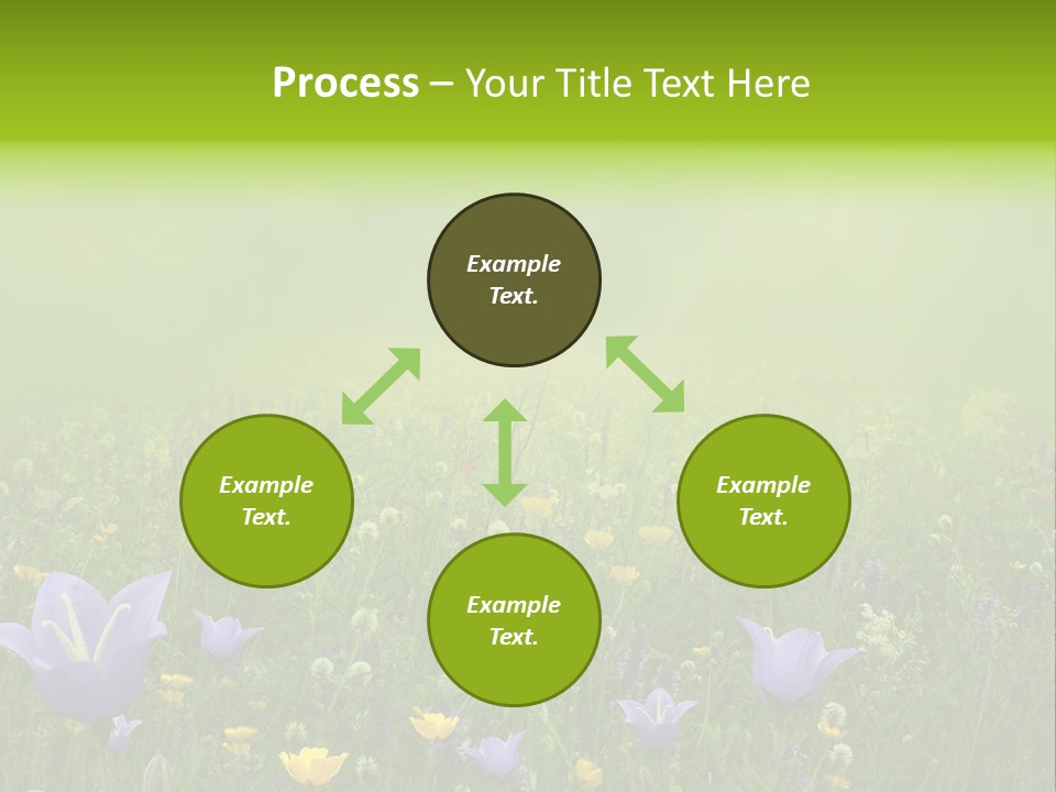 Blur Flora Light PowerPoint Template