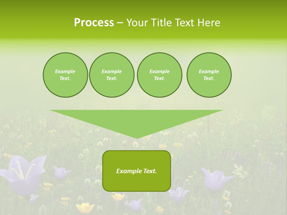 Blur Flora Light PowerPoint Template