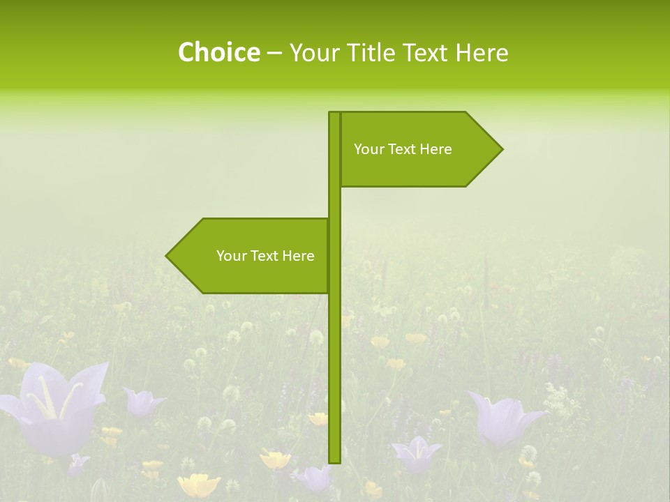 Blur Flora Light PowerPoint Template