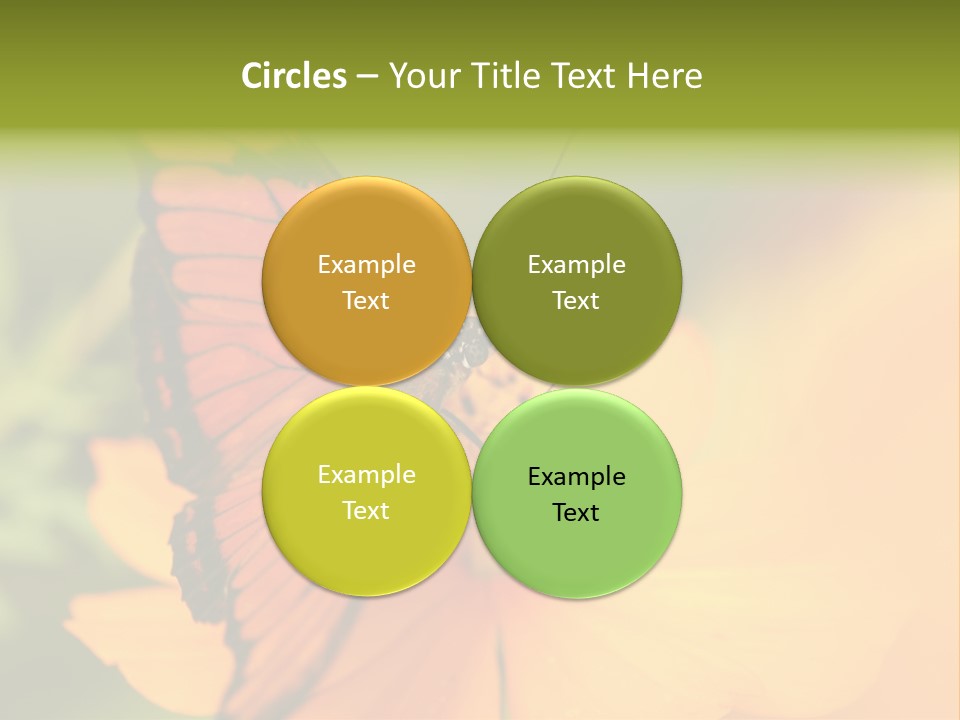 Flying Field Wildlife PowerPoint Template