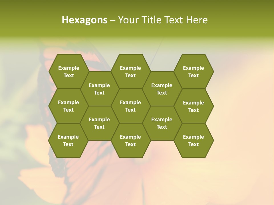 Flying Field Wildlife PowerPoint Template