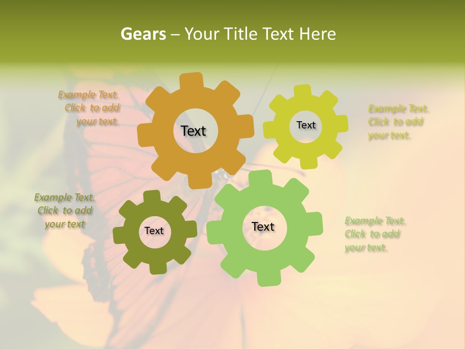 Flying Field Wildlife PowerPoint Template