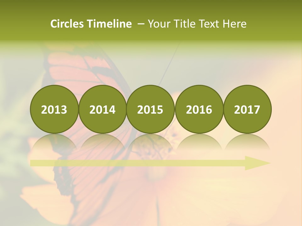 Flying Field Wildlife PowerPoint Template