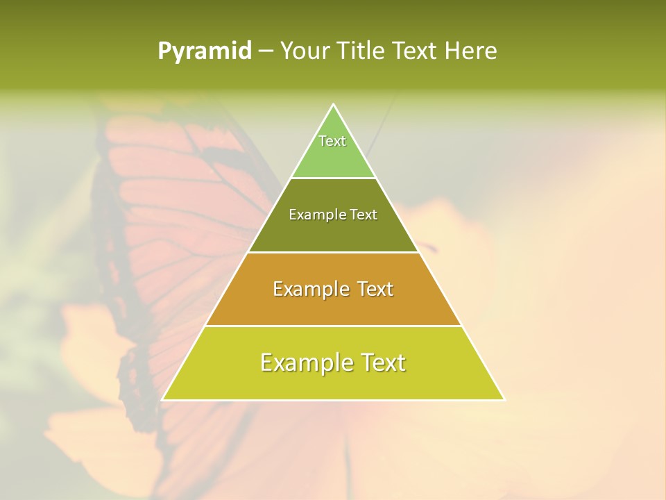 Flying Field Wildlife PowerPoint Template