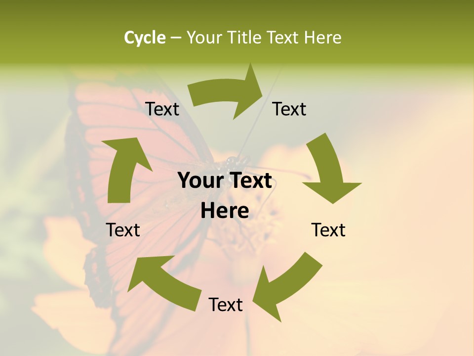 Flying Field Wildlife PowerPoint Template