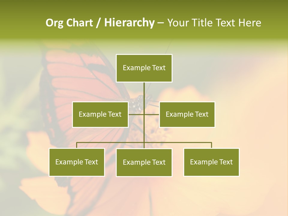 Flying Field Wildlife PowerPoint Template