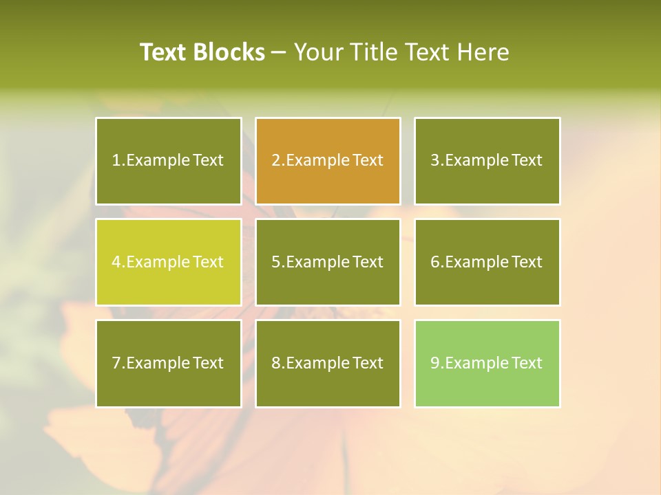Flying Field Wildlife PowerPoint Template