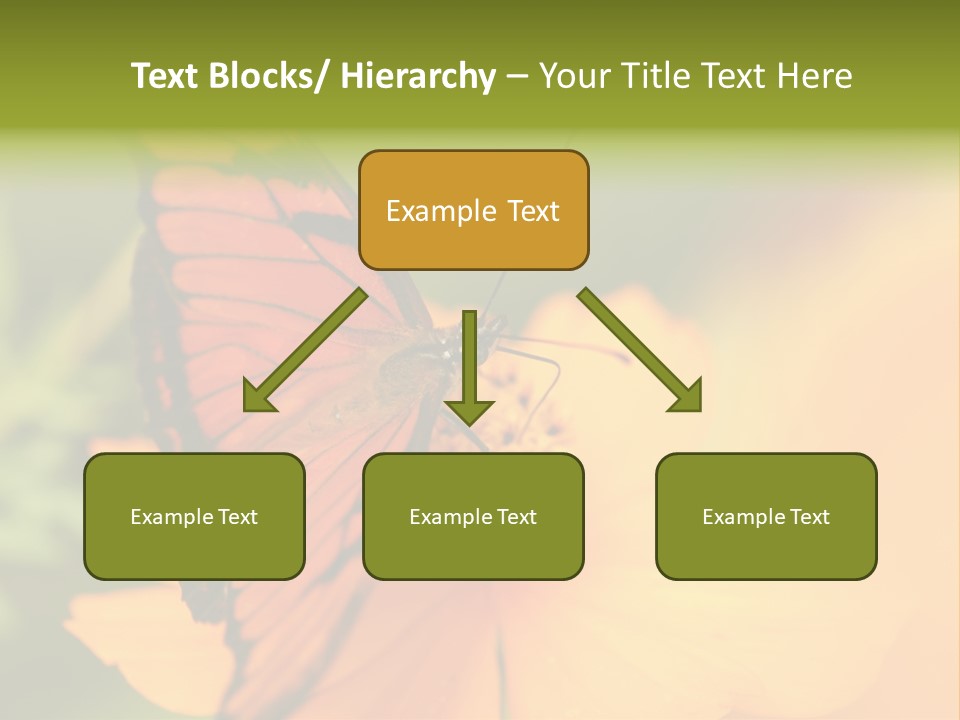 Flying Field Wildlife PowerPoint Template