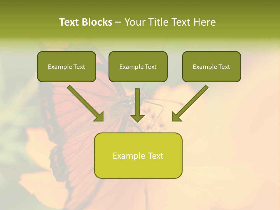 Flying Field Wildlife PowerPoint Template