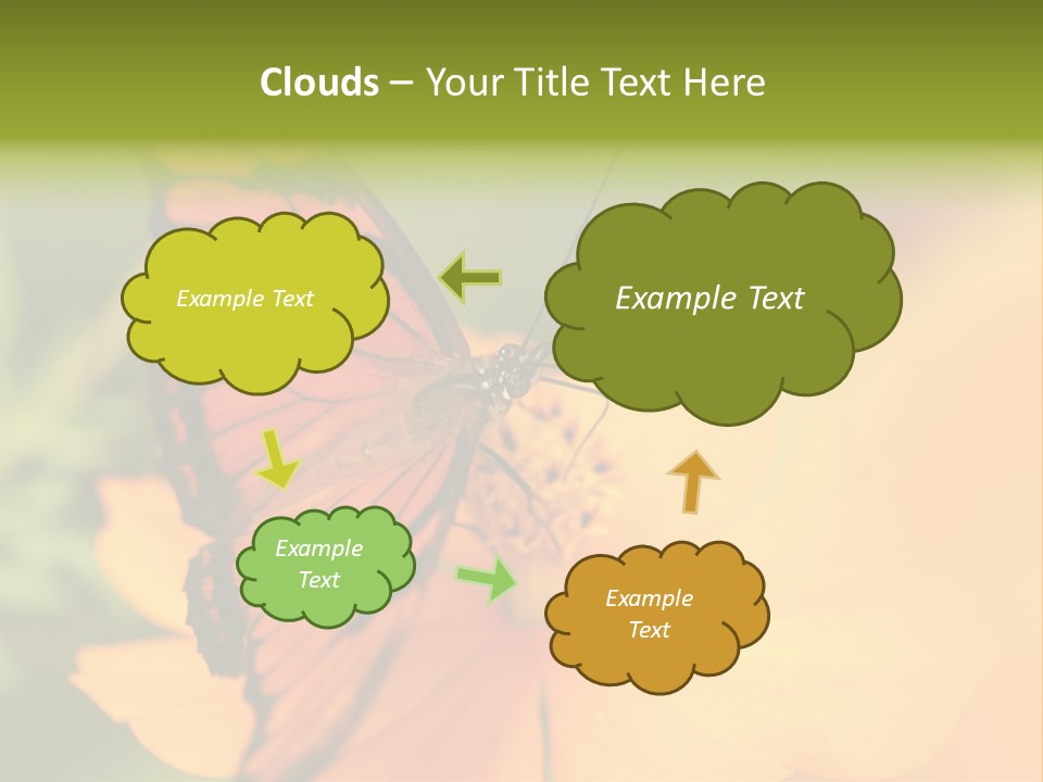 Flying Field Wildlife PowerPoint Template