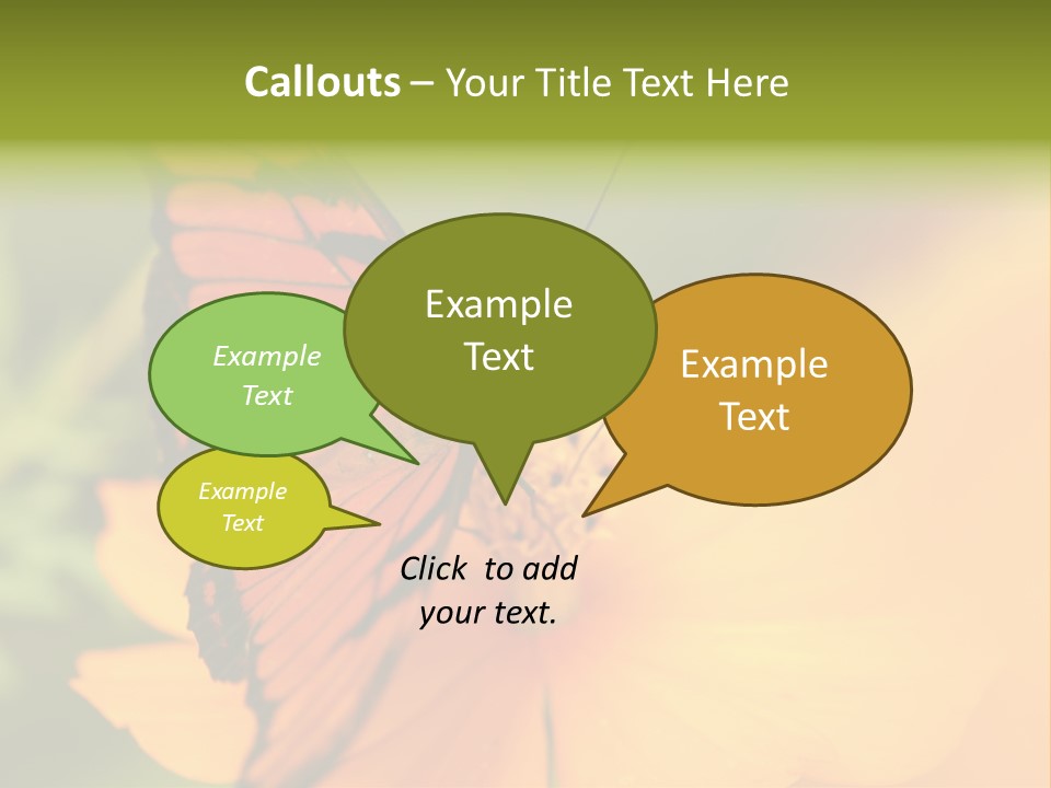 Flying Field Wildlife PowerPoint Template