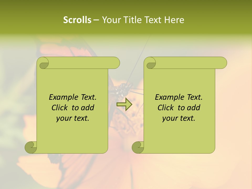 Flying Field Wildlife PowerPoint Template