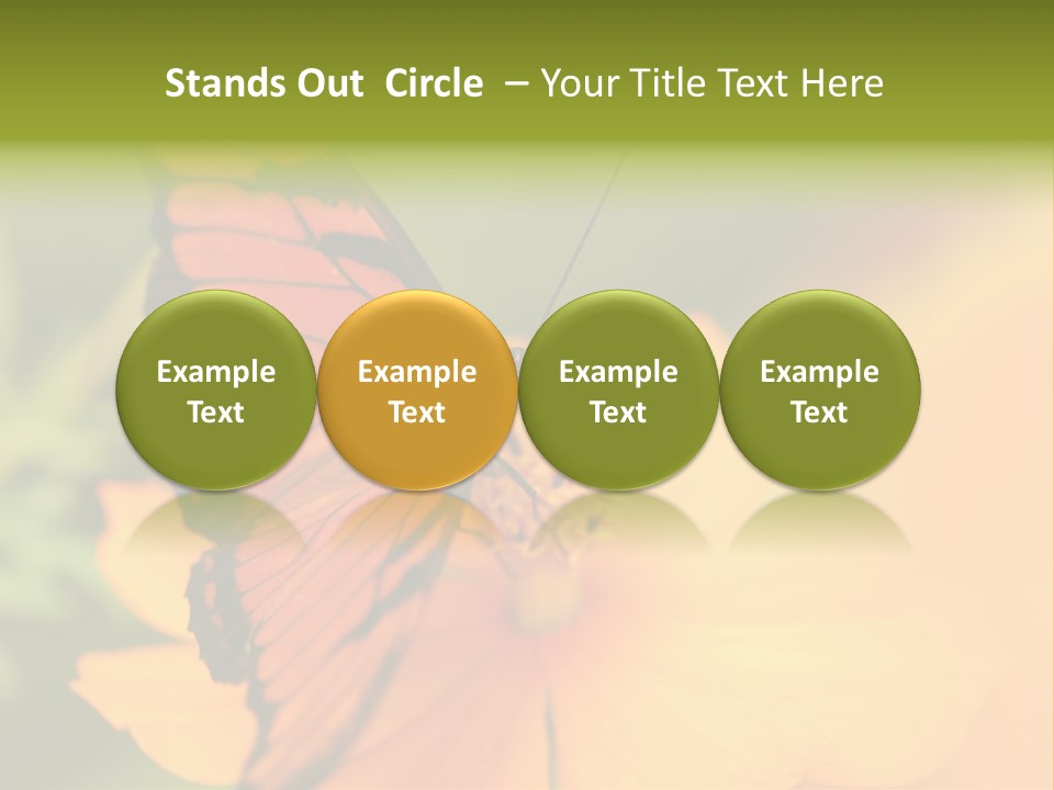 Flying Field Wildlife PowerPoint Template