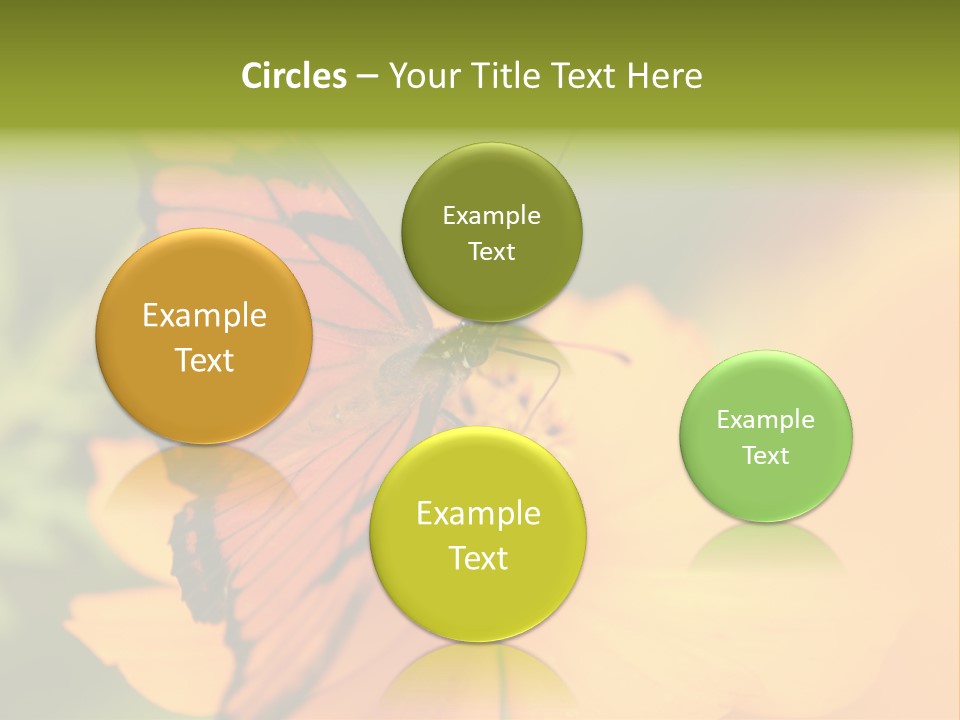 Flying Field Wildlife PowerPoint Template