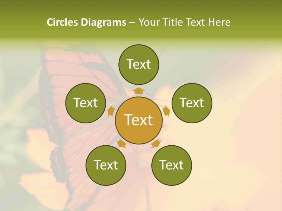 Flying Field Wildlife PowerPoint Template