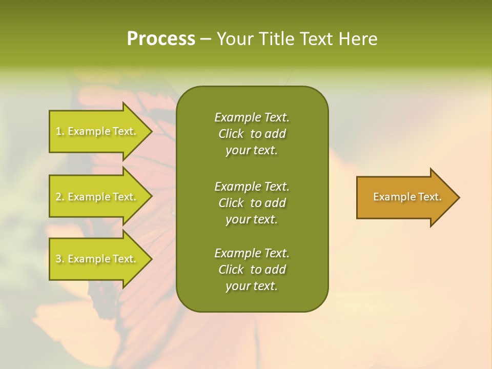 Flying Field Wildlife PowerPoint Template