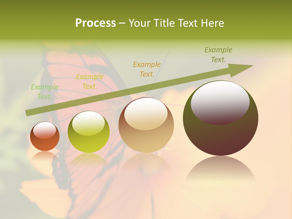 Flying Field Wildlife PowerPoint Template