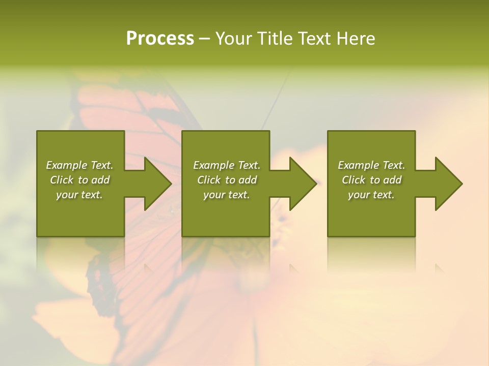 Flying Field Wildlife PowerPoint Template