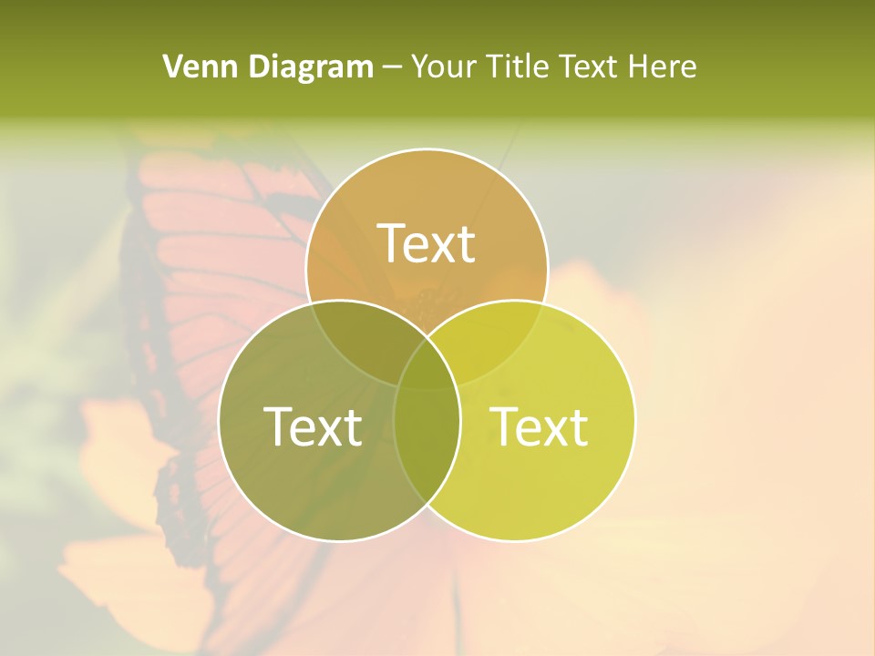 Flying Field Wildlife PowerPoint Template