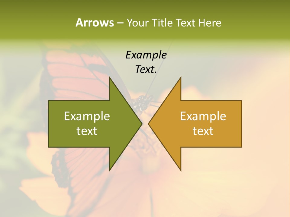 Flying Field Wildlife PowerPoint Template