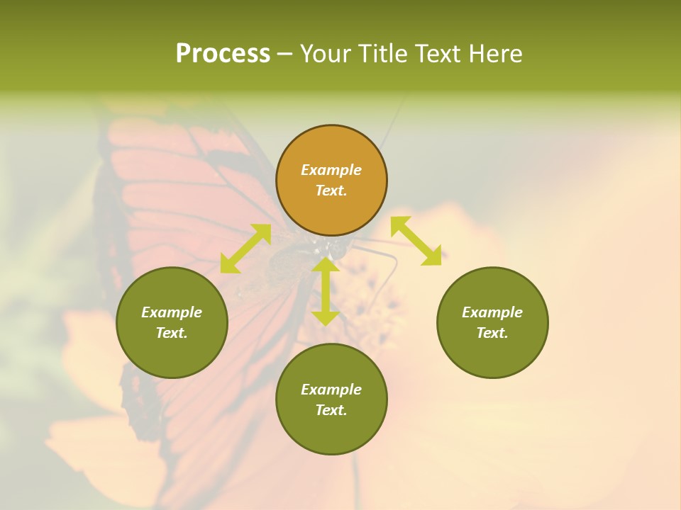 Flying Field Wildlife PowerPoint Template