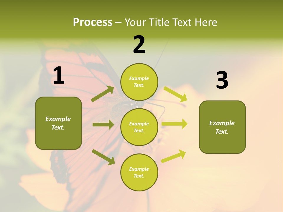 Flying Field Wildlife PowerPoint Template