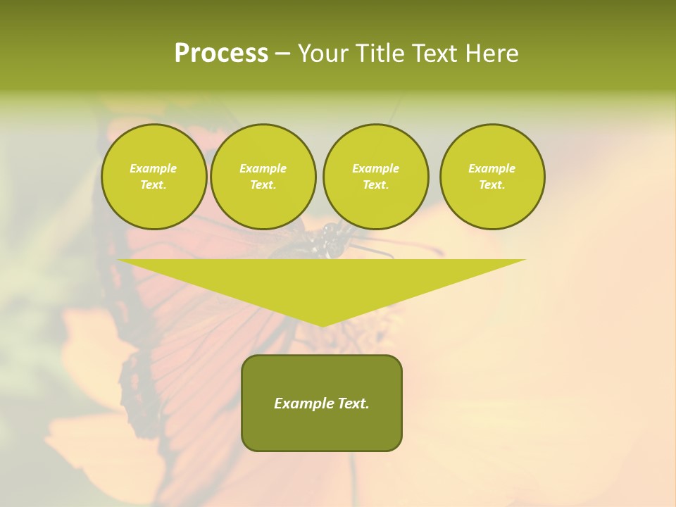 Flying Field Wildlife PowerPoint Template