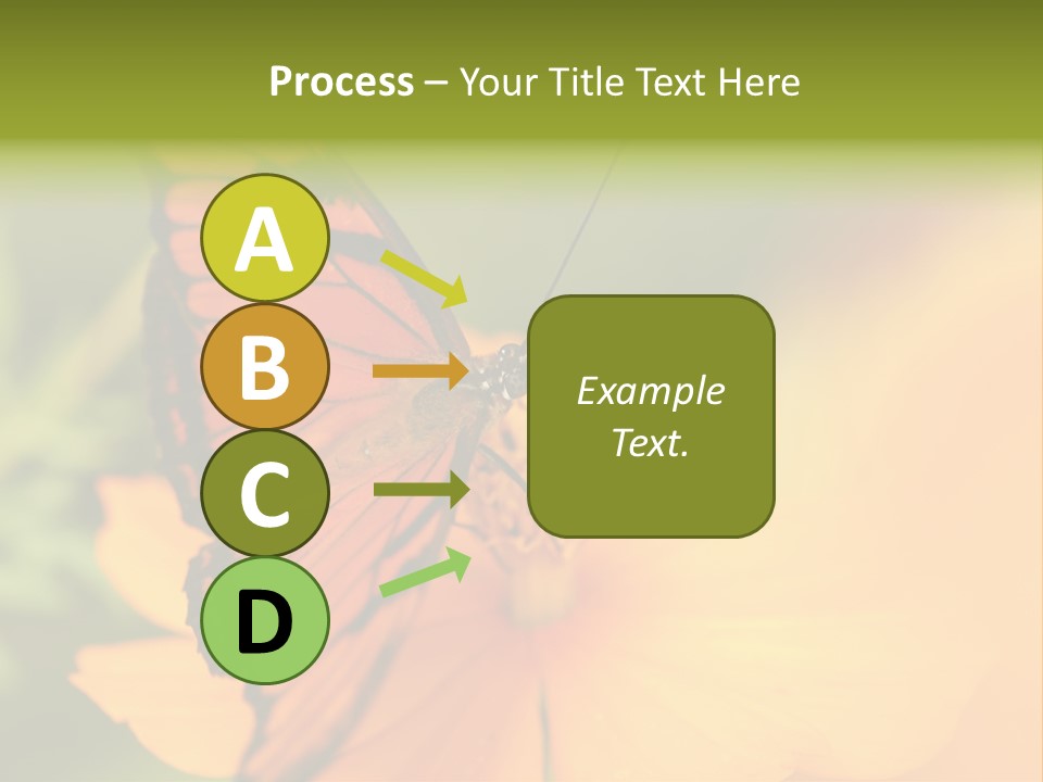 Flying Field Wildlife PowerPoint Template