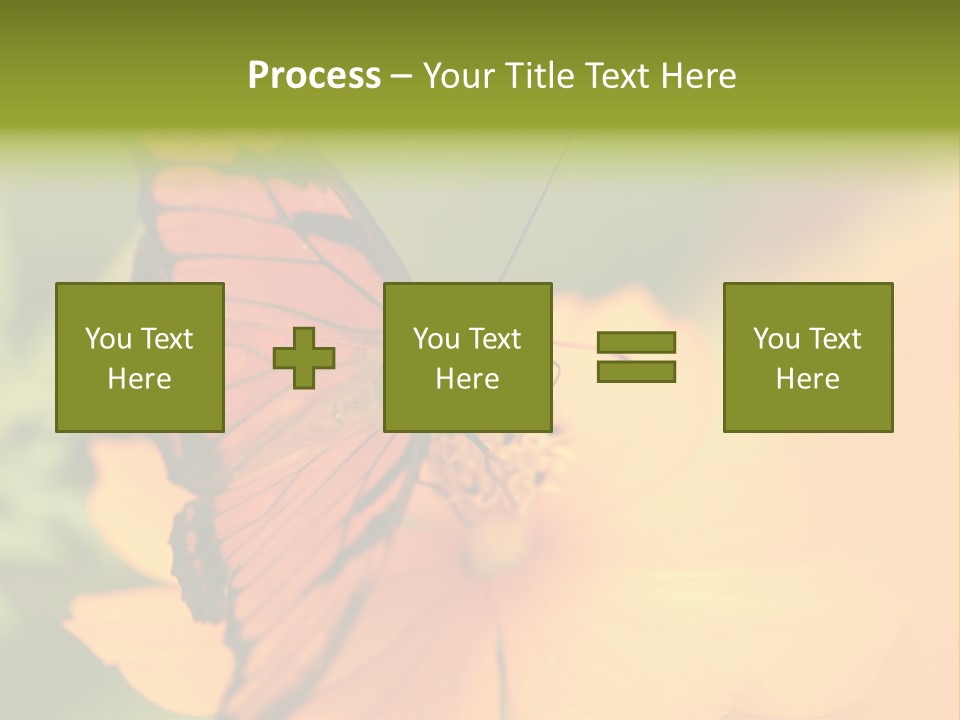 Flying Field Wildlife PowerPoint Template