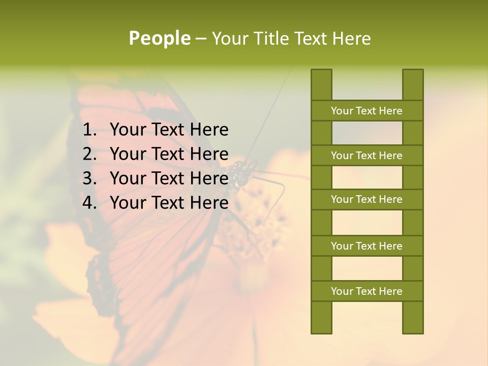 Flying Field Wildlife PowerPoint Template