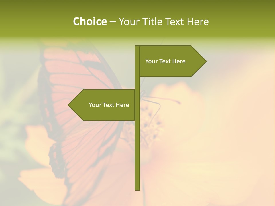 Flying Field Wildlife PowerPoint Template
