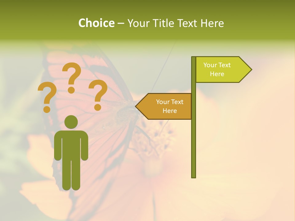 Flying Field Wildlife PowerPoint Template