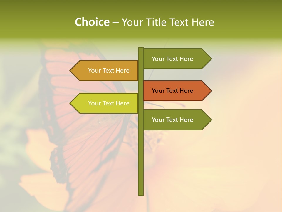 Flying Field Wildlife PowerPoint Template