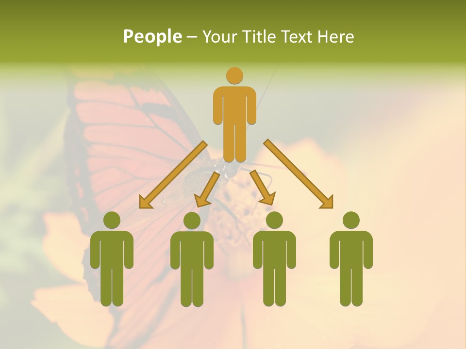 Flying Field Wildlife PowerPoint Template